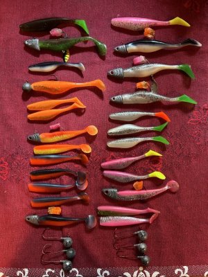 IMG_7378.jpeg IMG_7378.jpeg