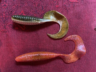 IMG_7380.jpeg IMG_7380.jpeg