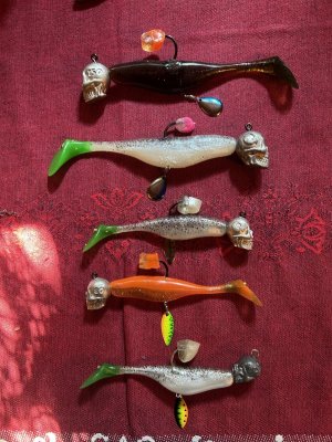 IMG_7379.jpeg IMG_7379.jpeg