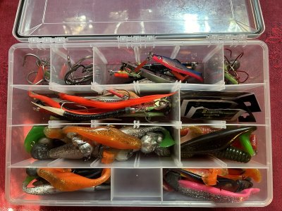 IMG_7381.jpeg IMG_7381.jpeg