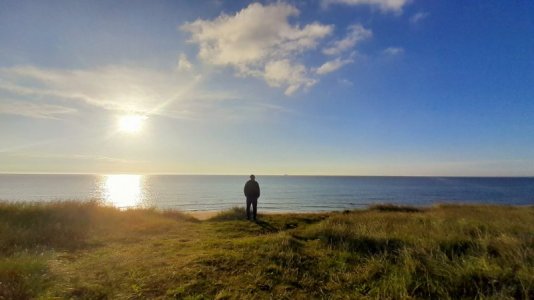 IMG-20240530-WA0003.jpg IMG-20240530-WA0003.jpg