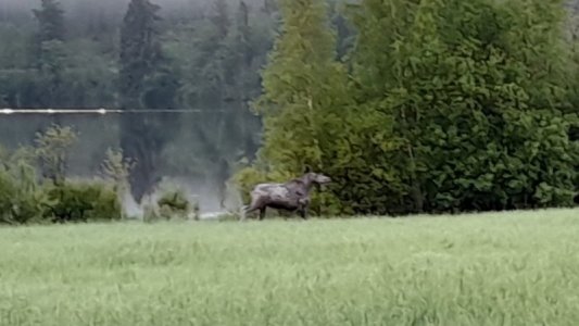 IMG-20240531-WA0000.jpg IMG-20240531-WA0000.jpg