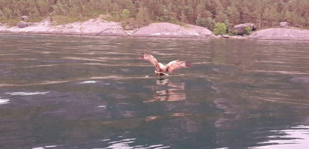 IMG-20240602-WA0008.jpg IMG-20240602-WA0008.jpg