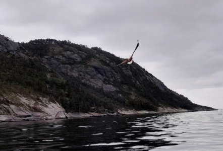 IMG-20240602-WA0007.jpg IMG-20240602-WA0007.jpg