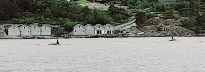 IMG-20240602-WA0006.jpg IMG-20240602-WA0006.jpg