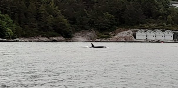 IMG-20240602-WA0009.jpg IMG-20240602-WA0009.jpg