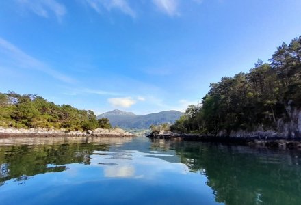 IMG-20240602-WA0013.jpg IMG-20240602-WA0013.jpg