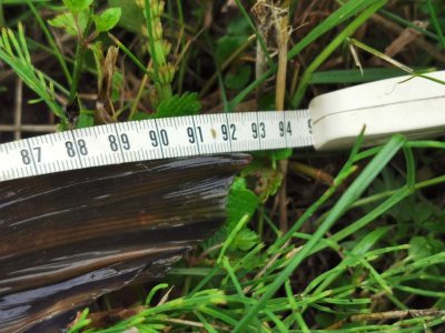 IMG_20240604_055832.jpg IMG_20240604_055832.jpg