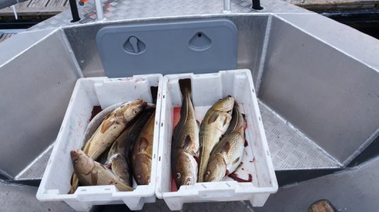 IMG-20240604-WA0020.jpg IMG-20240604-WA0020.jpg