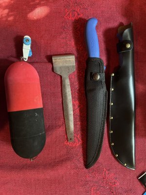 IMG_7382.jpeg IMG_7382.jpeg