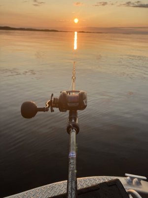 IMG_5935.jpeg