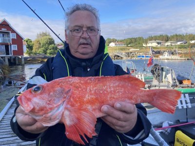 2022%20Norwegen%20Alle%20Fische%20Stand%202021%20(10041)%20%20ANGELN.jpeg