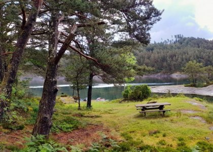 IMG-20240605-WA0001.jpg IMG-20240605-WA0001.jpg