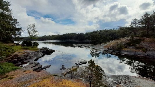 IMG-20240605-WA0002.jpg IMG-20240605-WA0002.jpg