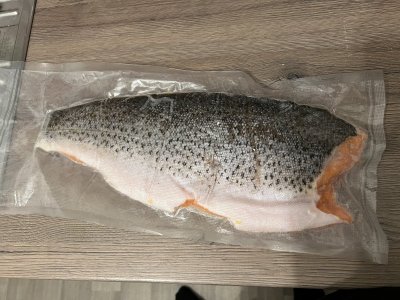 IMG_7237.jpeg IMG_7237.jpeg