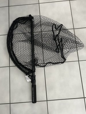 IMG_7449.jpeg IMG_7449.jpeg