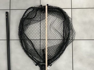 IMG_7453.jpeg IMG_7453.jpeg