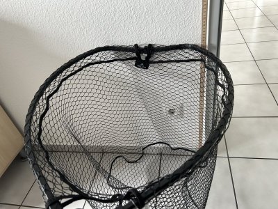 IMG_7454.jpeg IMG_7454.jpeg