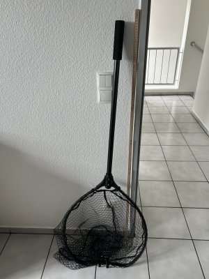 IMG_7455.jpeg IMG_7455.jpeg