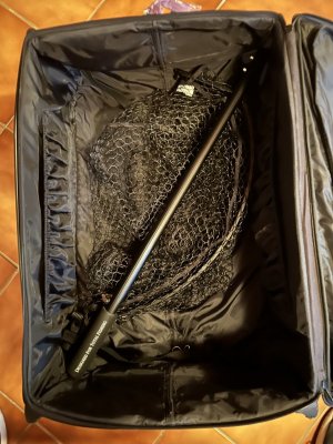 IMG_7458.jpeg IMG_7458.jpeg