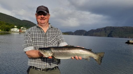 IMG-20240607-WA0004.jpg IMG-20240607-WA0004.jpg