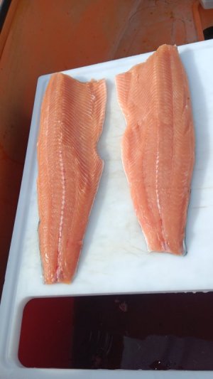 20240607_083846.jpg 20240607_083846.jpg