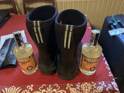 IMG_7524.jpeg IMG_7524.jpeg