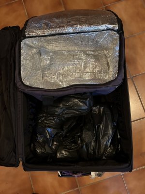 IMG_7526.jpeg IMG_7526.jpeg