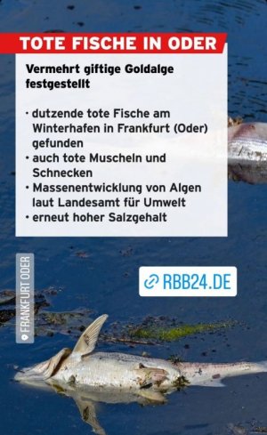 IMG-20240612-WA0000.jpg IMG-20240612-WA0000.jpg