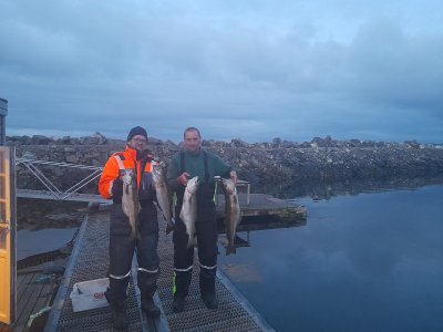 20240612_013242.jpg 20240612_013242.jpg