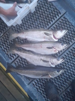 20240612_013100.jpg 20240612_013100.jpg