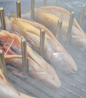 20240613_183357.jpg 20240613_183357.jpg