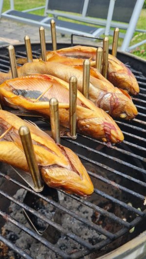 IMG-20240613-WA0007.jpeg IMG-20240613-WA0007.jpeg