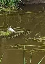 IMG-20240614-WA0000.jpg IMG-20240614-WA0000.jpg