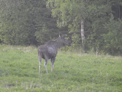DSCN1796.JPG