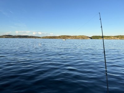 IMG_7644.jpeg IMG_7644.jpeg