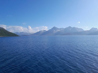 20240615_180446.jpg 20240615_180446.jpg