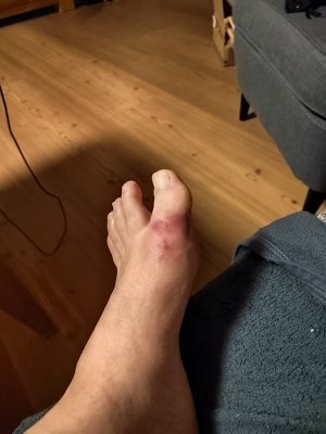 IMG_20240616_021117.jpg