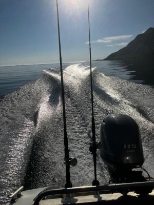 IMG-20240616-WA0024.jpg IMG-20240616-WA0024.jpg