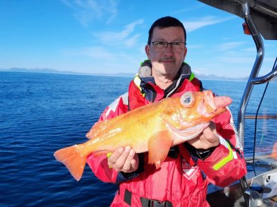 20240617_181735.jpg 20240617_181735.jpg