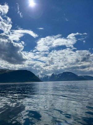 IMG-20240618-WA0007.jpg IMG-20240618-WA0007.jpg