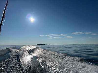 IMG-20240617-WA0001.jpg IMG-20240617-WA0001.jpg