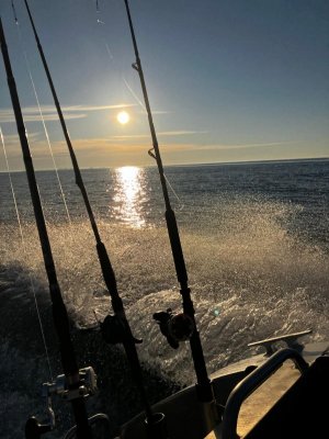 IMG-20240617-WA0023.jpg IMG-20240617-WA0023.jpg