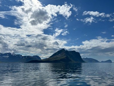 IMG-20240618-WA0016.jpg IMG-20240618-WA0016.jpg