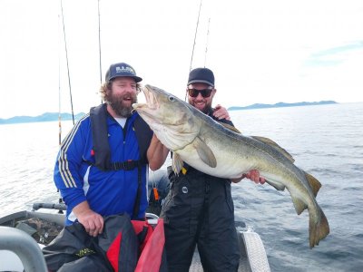 20240618_184805.jpg 20240618_184805.jpg