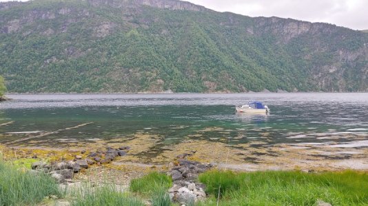 20240619_120017_HDR.jpg
