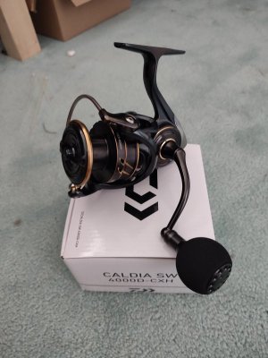 IMG_20240620_170946.jpg IMG_20240620_170946.jpg