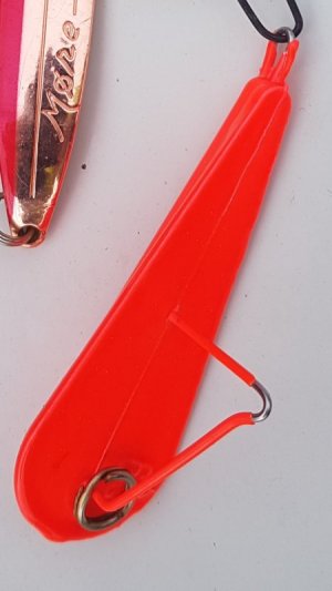 20240621_123000.jpg