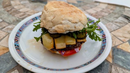 PXL_20240620_172010512.RAW-01.COVER~2.jpg PXL_20240620_172010512.RAW-01.COVER~2.jpg