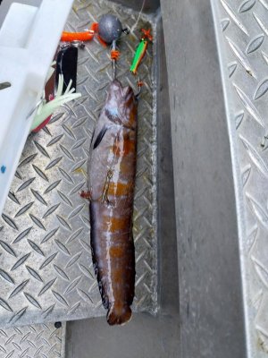 20240623_164750.jpg 20240623_164750.jpg